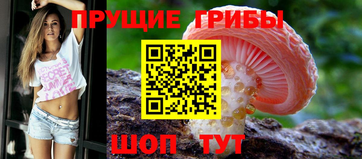 Псилоцибиновые грибы мицелий Котельники